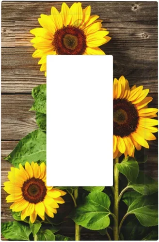 Miniatura 61 de Placa de receptáculo para interruptor basculante de una sola banda, 1 banda Decora GFCI Starry Night Painting Placa decorativa de pared