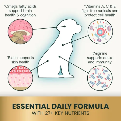 Miniatura 4 de VETRISCIENCE Canine Plus MultiVitamina para Perros - Suplemento vitamínico recomendado por veterinarios - Apoya el estado de ánimo, la piel