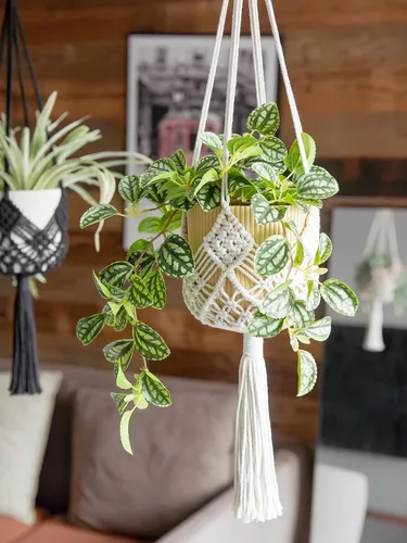 Miniatura 4 de Maceta Colgante con Patrones, Juego de 4 Colgadores de Macramé para Plantas de Interior, para Macetas de hasta 8 Pulgadas, Soporte de Ganchillo Boho