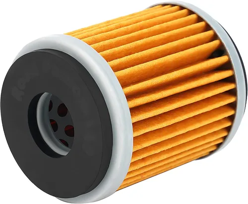 Road Passion Filtro de aceite para YAMAHA Yfm350r Raptor 350 2005-2013, Yfm400Big Bear 400 1993-1999, Yfm350fw Big Bear 346 1990-1998 y más; Papel,