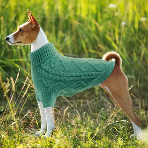 Miniatura 6 de Emust Suéter para perro pequeño, trajes de cable para perros pequeños, suéteres cálidos de otoño e invierno para perros pequeños y medianos, azul