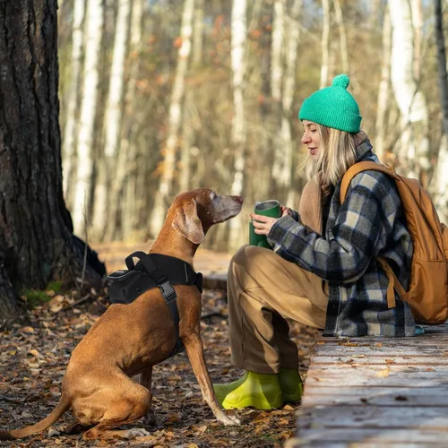 Miniatura 8 de Arnés para perros de tamaño pequeño, arnés de chaleco para perro sin tirones con asa de fácil control, arnés ajustable reflectante para perros que