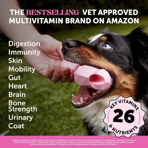 Miniatura 2 de Pet Honesty - Complejo multivitamínico 10 en 1 para perros, vitaminas para la salud y el corazón, glucosamina, probióticos y aceite de pescado