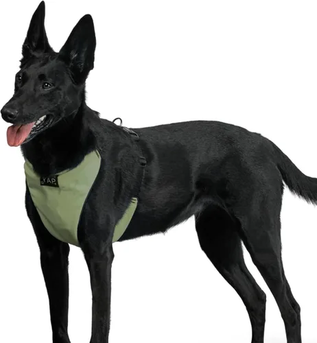 Miniatura 9 de YAP Techno® - Arnés para perro sin tirones, ajustable en 4 direcciones, arnés de chaleco para perro con control de temperatura, arnés para perro sin