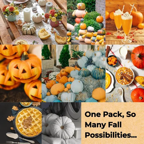 Miniatura 7 de Más de 200 semillas de calabaza para plantar, 10 variedades Jack Be Little, Jack O Lantern, pastel de azúcar, jarrahdale azul, Baby Boo, ideal