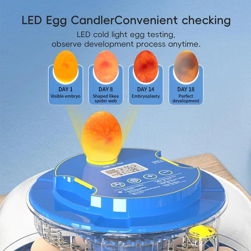 Miniatura 5 de 18 incubadoras de huevos con giro automático de huevos y control de humedad, pantalla de temperatura para incubar pollo, pato, codorniz, pájaros