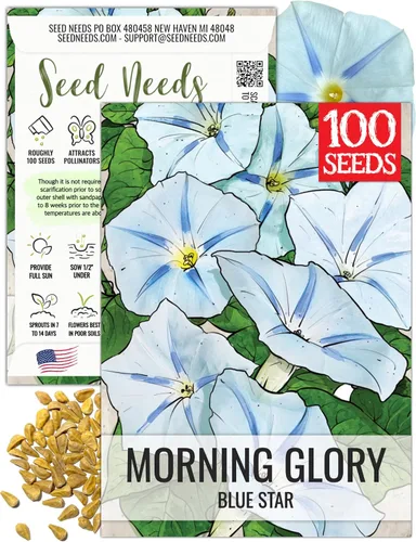 Miniatura 21 de Seed Needs Milky Way Morning Glory - Semillas para plantar enredaderas con flores, reliquia y escaladores polinizados abiertos para crear una cerca