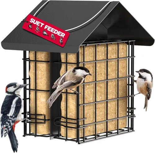 Comedero para pájaros de sebo para exteriores [doble capacidad] Comedero para pájaros silvestres con techo de metal colgante, comedero de sebo para