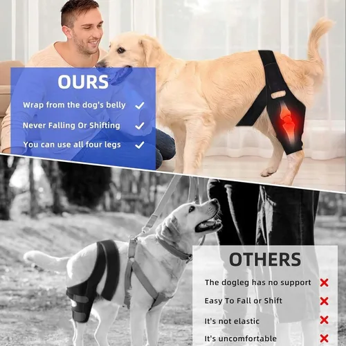 Miniatura 2 de Rodillera para perro, soporte ajustable para piernas de perro para desgarro del ligamento cruzado anterior, dolor de articulaciones, dolor muscular
