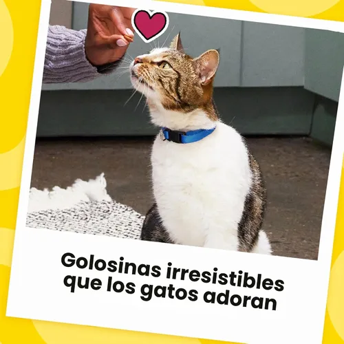 Miniatura 10 de Golosinas Temptations clásicas para gatos, empaque múltiple