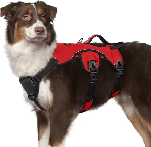 Miniatura 55 de rabbitgoo - Arnés para perro a prueba de fugas, arnés para mascotas acolchado suave de cuerpo completo, chaleco reflectante ajustable sin tirones