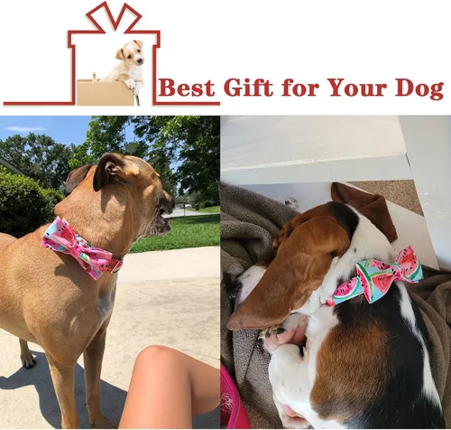 Miniatura 5 de Unique style paws Collar de perro Bowtie Collar de algodón sandía ajustable de verano para perros pequeños, medianos y grandes - XL