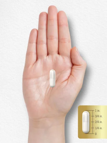 Miniatura 8 de Carlyle L Citrulina 1600mg 200 cápsulas para hombres y mujeres Fórmula avanzada para atletas Suplemento sin OMG y sin gluten