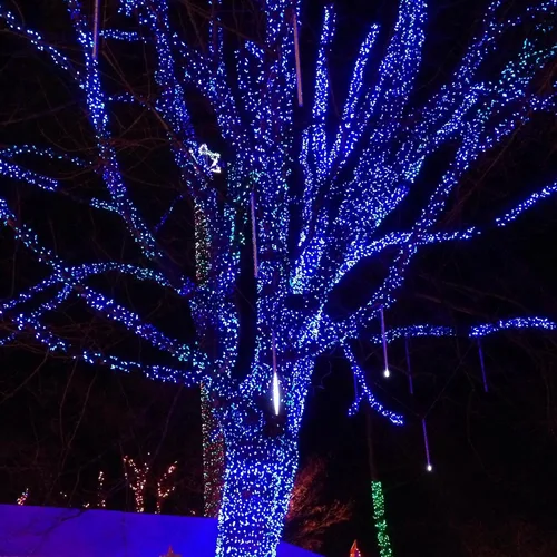 Miniatura 3 de Dazzle Bright - Guirnalda de luces de Navidad para exteriores, 1000 luces LED de 328 pies, enchufe de luz de hada con control remoto, 8 modos