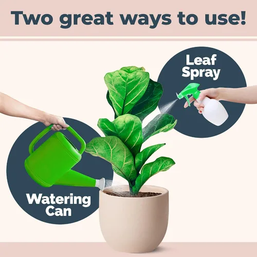 Miniatura 4 de Fiddle Leaf Fig Plant Food – Fertilizante líquido para hojas más grandes, raíces más fuertes y un nuevo crecimiento saludable, 8 onzas
