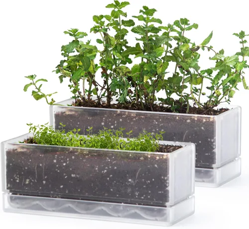 Miniatura 13 de D'vine Dev - Maceta para ventana de 12 pulgadas, maceta rectangular de plástico para hierbas con agujeros de drenaje y plato, maceta de suculentas