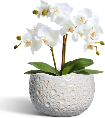 Miniatura 15 de Macetas de Cerámica Thirtypot - Maceta de 4 Pulgadas con Agujero de Drenaje, Macetas Pequeñas para Plantas de Interior y Exterior, Maceta Redonda