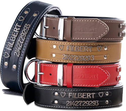 Filbert Collar de perro de cuero personalizado con nombre, collar de perro de cuero genuino con placa de nombre, personalizado, calidad de primera