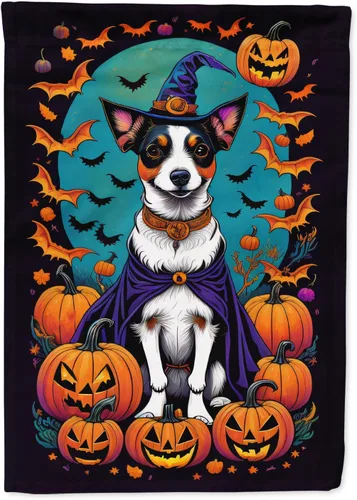 Miniatura 66 de Caroline's Treasures DAC1466GF - Bandera decorativa para jardín de Halloween de Affenpinscher Witchy para jardín, decoración para patio exterior