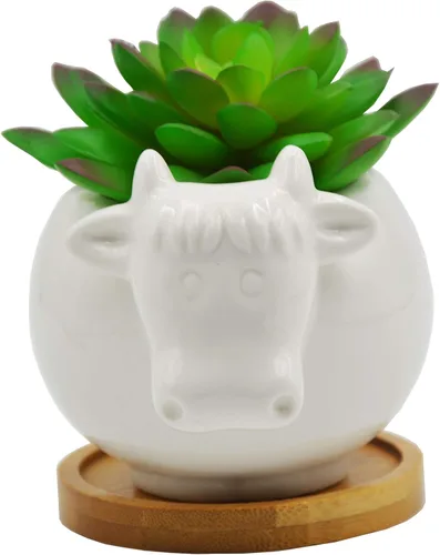 Miniatura 4 de Cuteforyou Macetas para suculentas, bonita maceta de cerámica con forma de vaca de dibujos animados para suculentas/cactus/flores, soportes