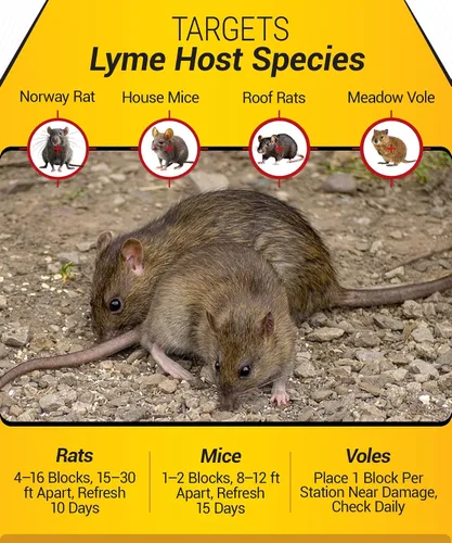 Miniatura 4 de Kaput Bloques de cebo para roedores y garrapatas, potentes bloques de cebo de rata de warfarina y fipronil para control de ratas y sus garrapatas