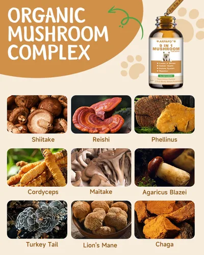 Miniatura 3 de Suplemento de hongos 9 en 1 para perros, hongo de cola de pavo para perros, tratamiento de bultos y protuberancias para perros, soporte digestivo