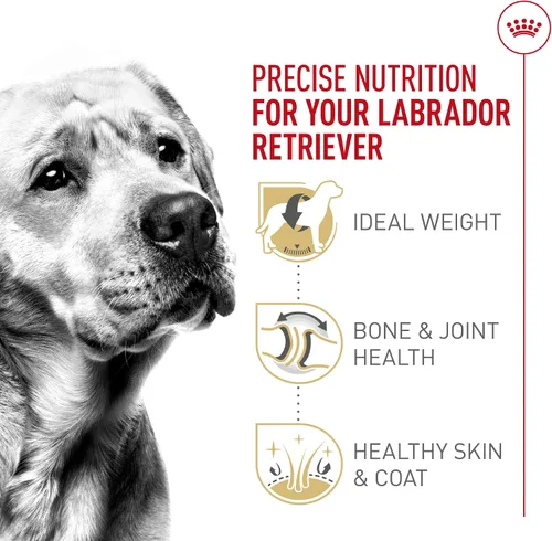 Miniatura 5 de Royal Canin Breed Health Nutrition Labrador Retriever - Alimento seco para perros adultos, bolsa de 5 libras