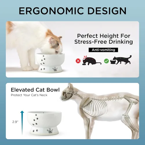 Miniatura 5 de Necoichi Raised Tazón de agua para gatos elevado