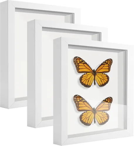 Miniatura 50 de Caja expositora de 8 x 8 pulgadas con calcomanías de letras, vitrina para recuerdos, artículos de bebé, recuerdos de boda, manualidades, boletos