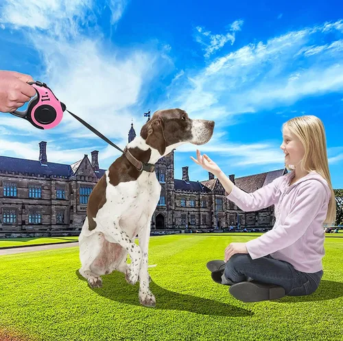 Miniatura 6 de Correa retráctil resistente para perros o gatos pequeños, cinta de nailon 360 sin enredos, mango antideslizante, con dispensador de bolsas de basura