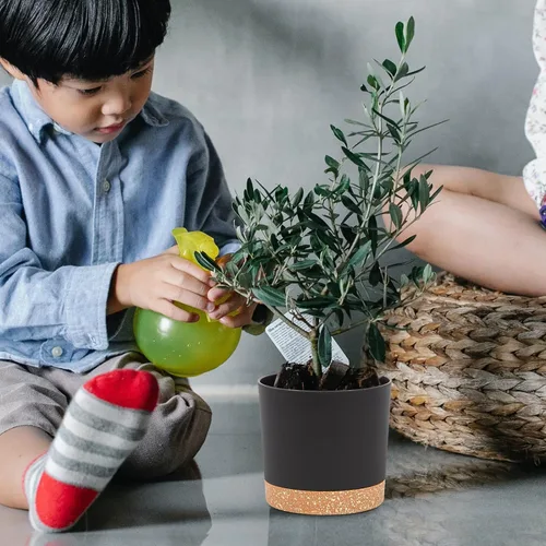 Miniatura 6 de QCQHDU Maceta de 5 pulgadas, paquete de 2 macetas para plantas de interior con agujeros de drenaje y platillo, macetas para exteriores, decoración