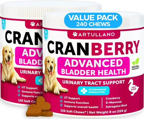 Miniatura 8 de Dog UT Treats - Bocadillos masticables de arándano para perros - Suplemento de apoyo para el tracto urinario y la vejiga con extracto natural