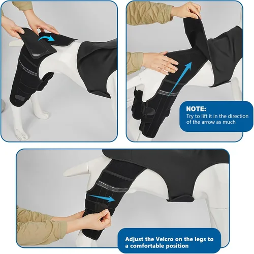 Miniatura 7 de Rodillera de perro para pierna trasera Acl, soporte de pierna de perro para pierna trasera, soporte de cadera ajustable para reducir el dolor