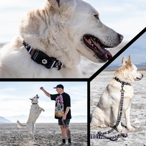 Miniatura 6 de Wolfgang - Collar de perro resistente y ajustable con hebilla de nailon de liberación rápida para caminar y entrenar, estampado NewMoon, talla L