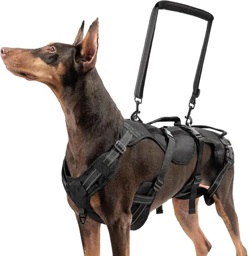 Miniatura 12 de BINGPET Arnés de elevación para perros, cabestrillo de cuerpo completo para perros grandes y medianos con soporte para patas traseras, arnés