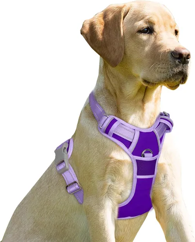 Miniatura 23 de BARKBAY Arnés sin tirones para perro, clip frontal, resistente, reflectante, mango de fácil control para pasear perros grandes (negro, L)