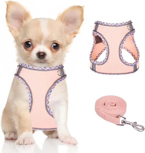Miniatura 10 de Arnés para perro para perros pequeños y medianos sin tirones, ajustable para cachorros, arnés de malla transpirable reflectante para mascotas