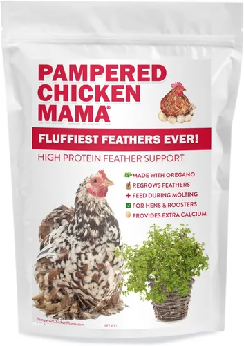 Miniatura 3 de Pampered Chicken Mama Suplemento de muda para pollos: las plumas más esponjosas de la historia Alimento para pollo en el patio trasero y suministros