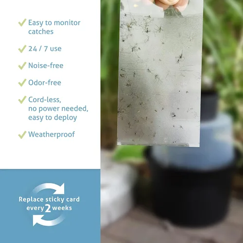 Miniatura 4 de Biogents GAT2 - Trampa para mosquitos – Trampa para poner huevos no eléctrica y ecológica para control de mosquitos tigre – 12 trampas con 10