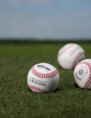 Miniatura 3 de Wilson A1010