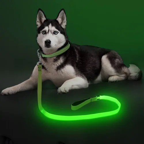 Colaseeme Correa para perro iluminada, correas LED para mascotas, recargable por USB, luces de seguridad para perros por la noche (4 pies, verde)
