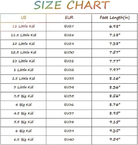Miniatura 7 de Ehauuo Kids Two Wheels Shoes with Lights Rechargeable Roller Skates Shoes Retractable LED Flashing Sneakers Wheels Shoes for Unisex Girls Boys