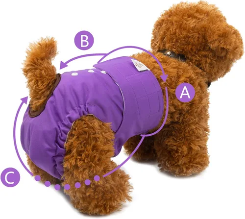 Miniatura 4 de CuteBone - Pañales lavables para perras, para perrita en celo, paquete de 3, D11L