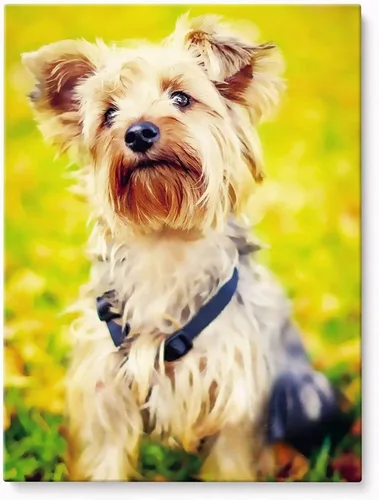 Miniatura 10 de Impresiones en lienzo personalizadas con tus fotos, lienzo personalizado para pared, imágenes personalizadas de 4 x 6 pulgadas, imágenes