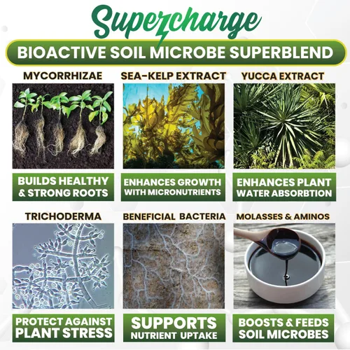 Miniatura 2 de Hongos micorrízicos con bacterias beneficiosas, tricoderma, algas marinas, melaza, yuca, Smart Grower Supercharge Potenciador de raíces de plantas