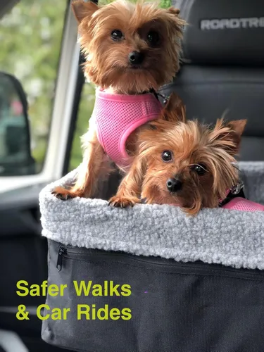 Miniatura 2 de Arnés para perros de malla suave, cómodo para razas pequeñas, cachorros, juguetes, de 2 a 16 lb, en color rosa bebé, azul, negro, rojo, camuflado