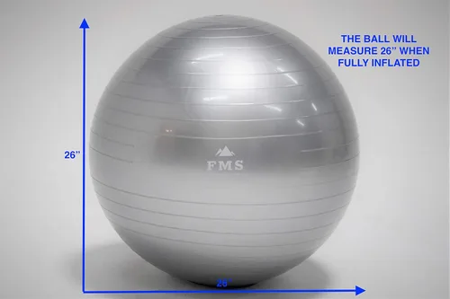 Miniatura 7 de FIM ISU 25.6 in Fitness Stability Ball • Yoga Balance Ball • Ejercicio Entrenamiento Bola INCLUYE Bomba de Pie