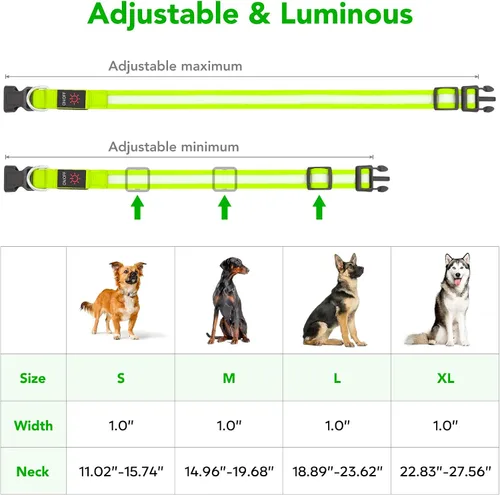 Miniatura 5 de Collar LED para Perros Vizpet, Collar para Perros Luminoso Ajustable Recargable por USB Super Brillante Luz de Seguridad Collares Brillantes