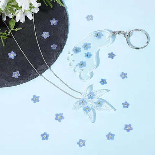 Miniatura 3 de Nuanchu Flores secas naturales "Don't Forget Me", flores secas prensadas reales para joyería, fabricación de velas, tarjetas, adornos de resina