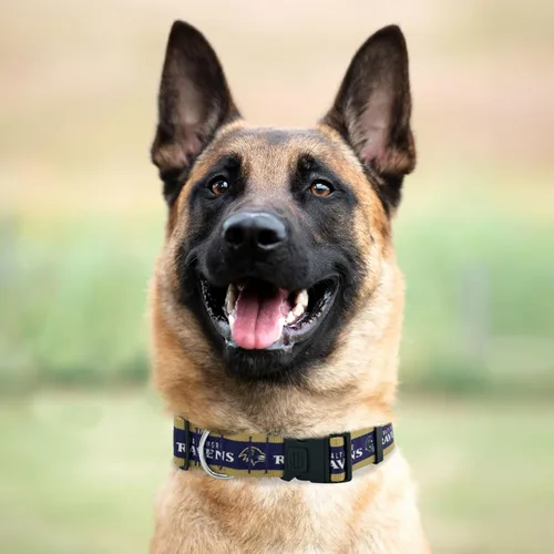 Miniatura 52 de Pets First Collar para perro de la NFL 32 equipos NFL disponibles en 4 tamaños. Collar de PET NFL resistente, fuerte y duradero. Equipo de fútbol